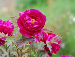 �X�|�b�g�C���[�W