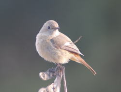 ���[�h�R�[�X�G�N�Z���R�[�X�C���[�W